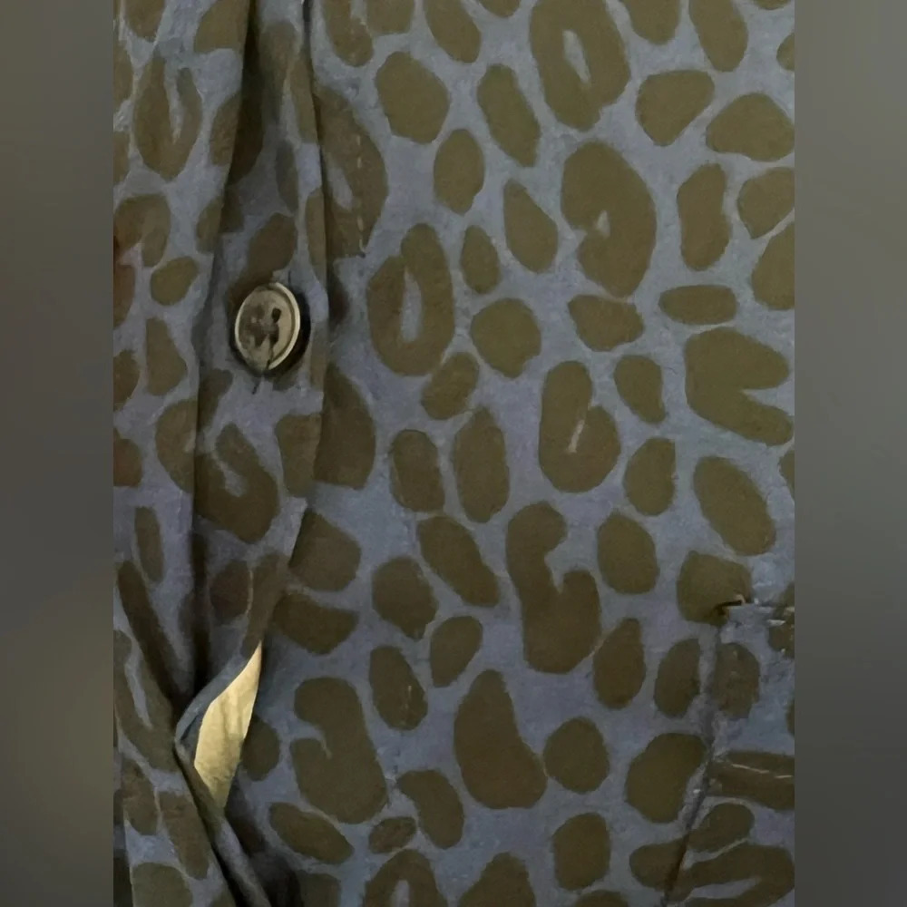 ANN TAYLOR LOFT Sheer Leopard Print Button Up Blouse Top Size Small - Picture 3 of 9